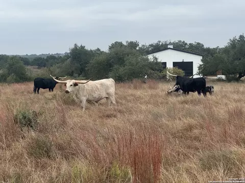 718 Windmill Rdg, Blanco, TX 78606 photo 30