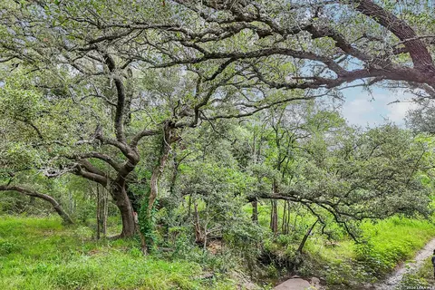 1617 Blue Creek Rd, La Vernia, TX 78121