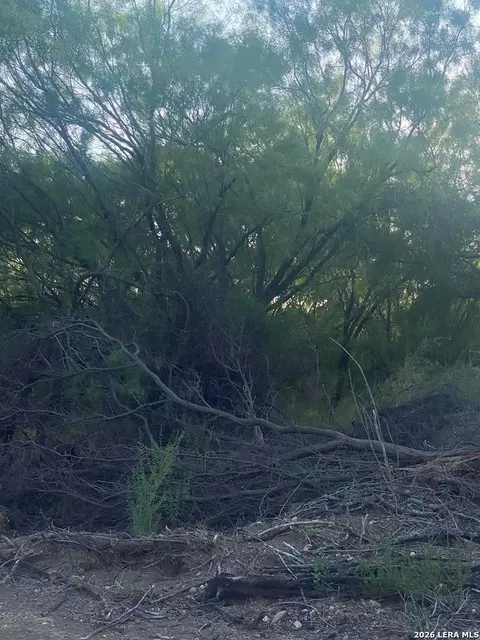 496 D Chavarria, Eagle Pass, TX 78852 photo 5