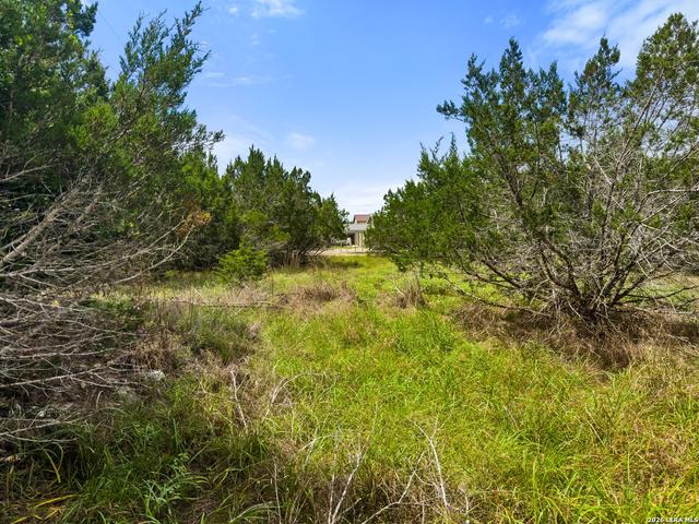 541 Henderson Dr, Spring Branch, TX 78070