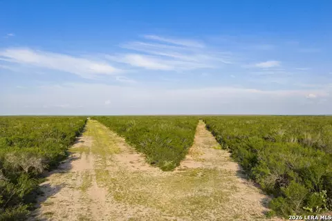 Other - tbd Cr 401, Freer, TX 78357 photo 14 of 15