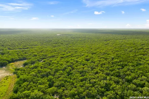 Other - tbd Cr 401, Freer, TX 78357 photo 3 of 15