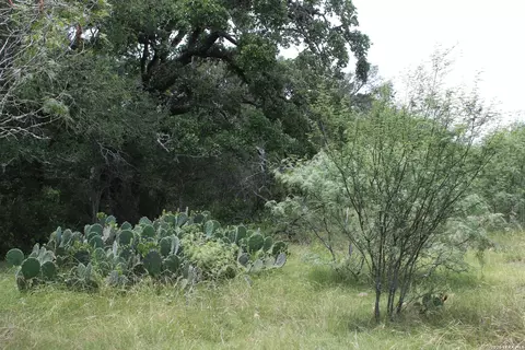 tbd Fm 3353, Seguin, TX 78155