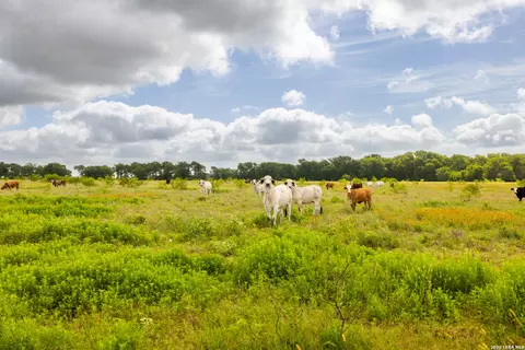 408 E Fm 739, Corsicana, TX 75110