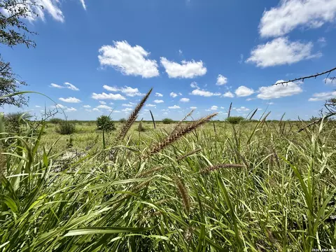 0 Cr 235, Three Rivers, TX 78071