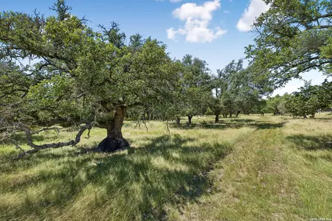 Other - 230 Old Roeder Rd NW, Harper, TX 78631 photo 8 of 19