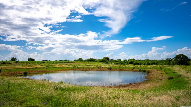 173401 Fargoer, Marion, TX 78124