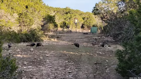 tbd Mutt Rd, Brackettville, TX 78832