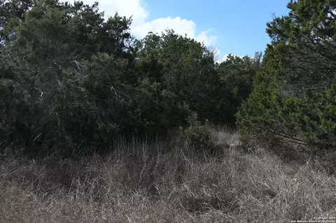 979 987 Deer Valley Pass, Spring Branch, TX 78070
