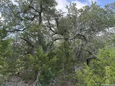 351 Ridge Pt, Spring Branch, TX 78070