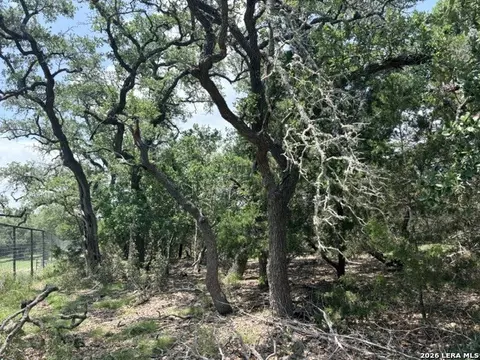 128 Coneflower Dr, Spring Branch, TX 78070