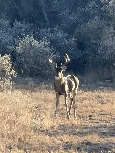 Other - 000 Miller Rd, Uvalde, TX 78801 photo 34 of 36