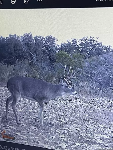 Other - 000 Miller Rd, Uvalde, TX 78801 photo 35 of 36