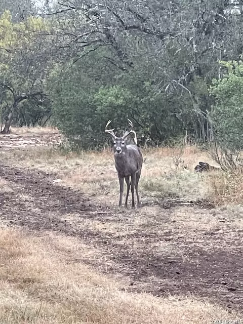 Other - 000 Miller Rd, Uvalde, TX 78801 photo 36 of 36