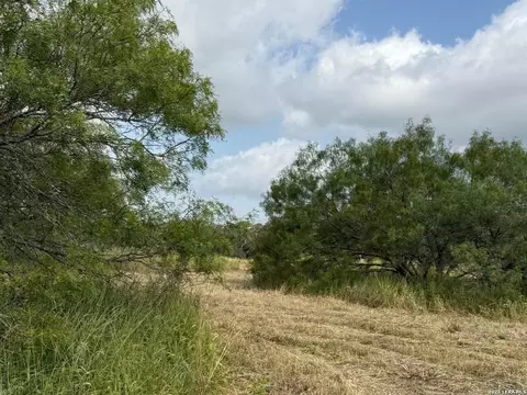 585 County Road 768, Devine, TX 78016 photo 5