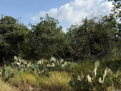 585 County Road 768, Devine, TX 78016 photo 6