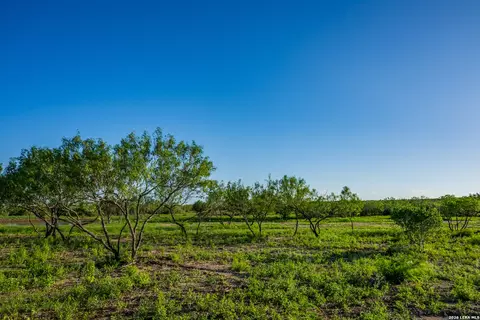 Other - 111 Los Lomas Ranch Rd, Freer, TX 78357 photo 14 of 27