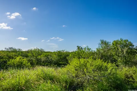 Other - 111 Los Lomas Ranch Rd, Freer, TX 78357 photo 24 of 27