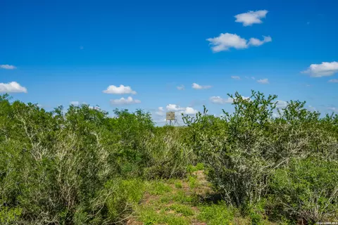 Other - 111 Los Lomas Ranch Rd, Freer, TX 78357 photo 13 of 27