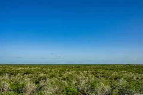 View/Area - 111 Los Lomas Ranch Rd, Freer, TX 78357 photo 2 of 4