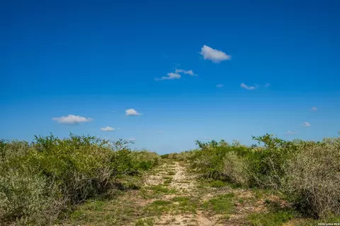 Other - 111 Los Lomas Ranch Rd, Freer, TX 78357 photo 25 of 27