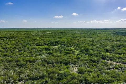 View/Area - 111 Los Lomas Ranch Rd, Freer, TX 78357 photo 3 of 4