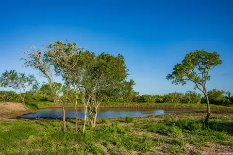 View/Area - 111 Los Lomas Ranch Rd, Freer, TX 78357 photo 1 of 4