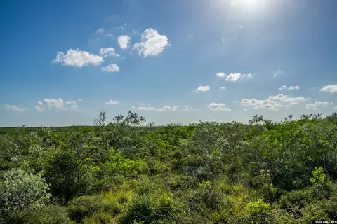 Other - 111 Los Lomas Ranch Rd, Freer, TX 78357 photo 17 of 27