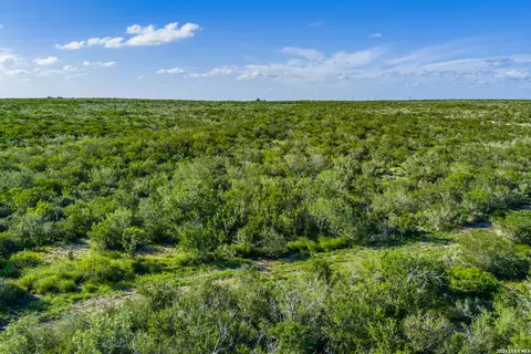 Other - 111 Los Lomas Ranch Rd, Freer, TX 78357 photo 11 of 27