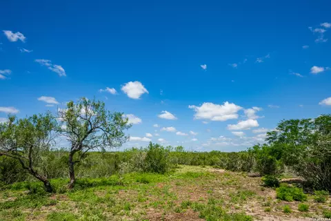 Other - 111 Los Lomas Ranch Rd, Freer, TX 78357 photo 16 of 27