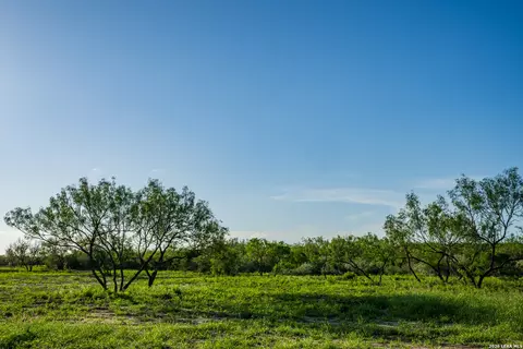 Other - 111 Los Lomas Ranch Rd, Freer, TX 78357 photo 2 of 27