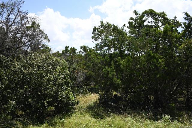 1318 Hidden Valley Dr, Spring Branch, TX 78070