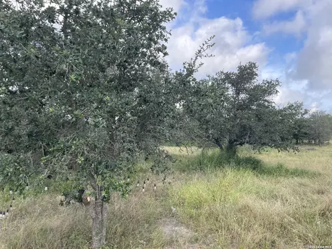 Other - 1742 County Road 777, Devine, TX 78016 photo 6 of 11