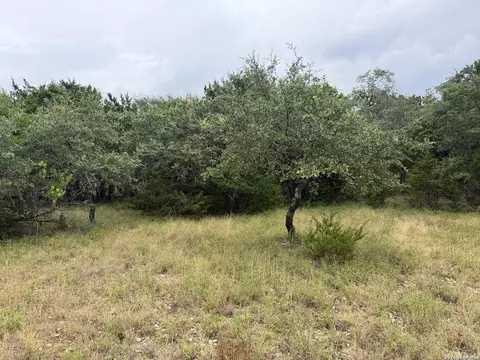 197 Rosenberry, Bulverde, TX 78163