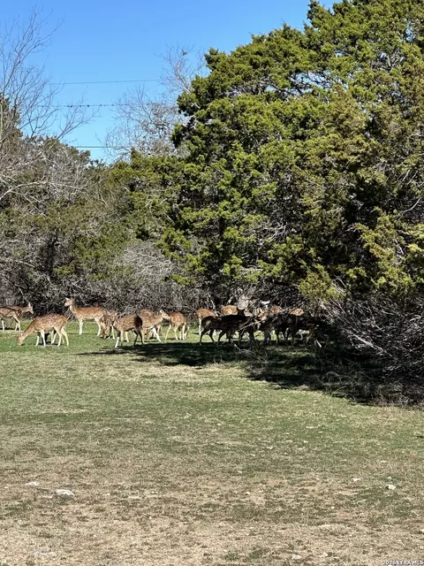 0 Deerwood, Bandera, TX 78003