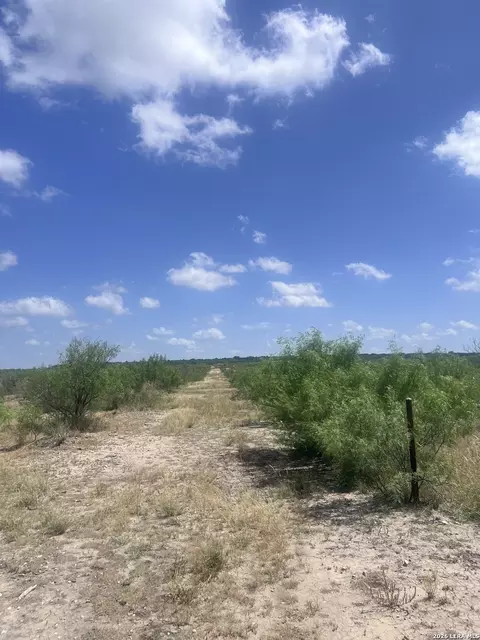 Other - 347 Sundown Trl, Eagle Pass, TX 78852 photo 10 of 22