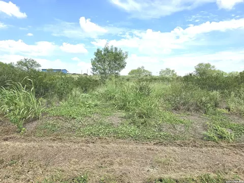115 County Road 2666, Devine, TX 78016 photo 4