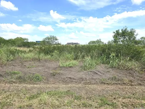 115 County Road 2666, Devine, TX 78016 photo 3