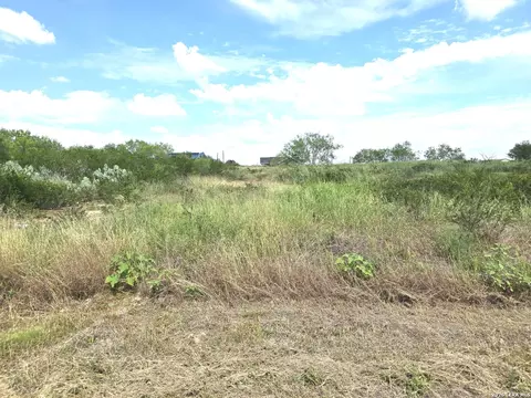 115 County Road 2666, Devine, TX 78016 photo 2