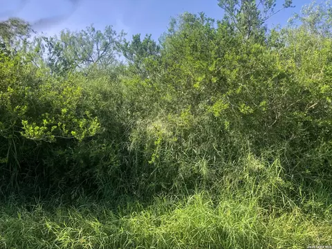 000 Cr 619, Skidmore, TX 78389