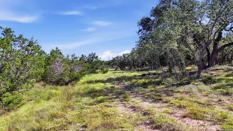 783 Tiswin Trl, Blanco, TX 78606 photo 12