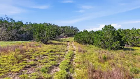 783 Tiswin Trl, Blanco, TX 78606 photo 3