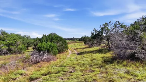 783 Tiswin Trl, Blanco, TX 78606 photo 4