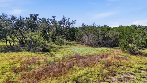 783 Tiswin Trl, Blanco, TX 78606 photo 11
