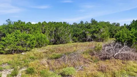 783 Tiswin Trl, Blanco, TX 78606 photo 5