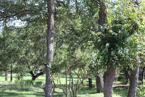 878 Ledgeview Dr, Canyon Lake, TX 78133
