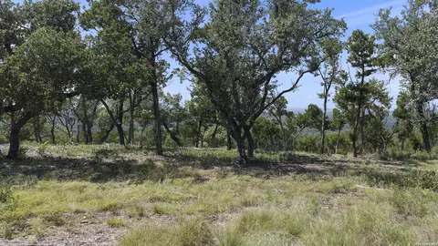 322 Mitchell Dr, Spring Branch, TX 78070 photo 5