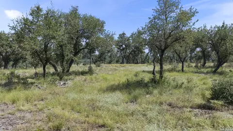 322 Mitchell Dr, Spring Branch, TX 78070 photo 7