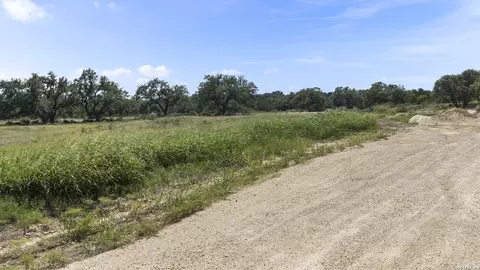 227 Mitchell Dr, Spring Branch, TX 78070 photo 4