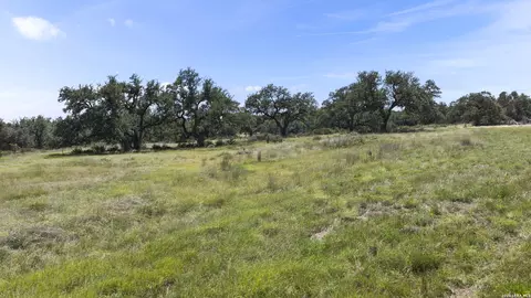 227 Mitchell Dr, Spring Branch, TX 78070 photo 10